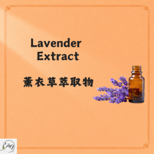 Lavender Extract 薰衣草提取液