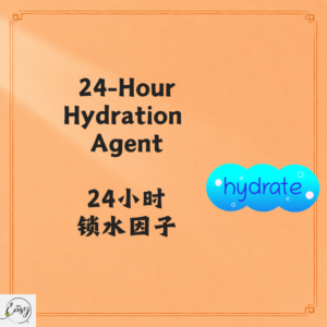 24-Hour Hydration Agent 24小时锁水因子