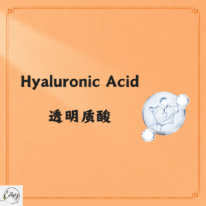 Hyaluronic Acid Essence 透明质酸 10ml